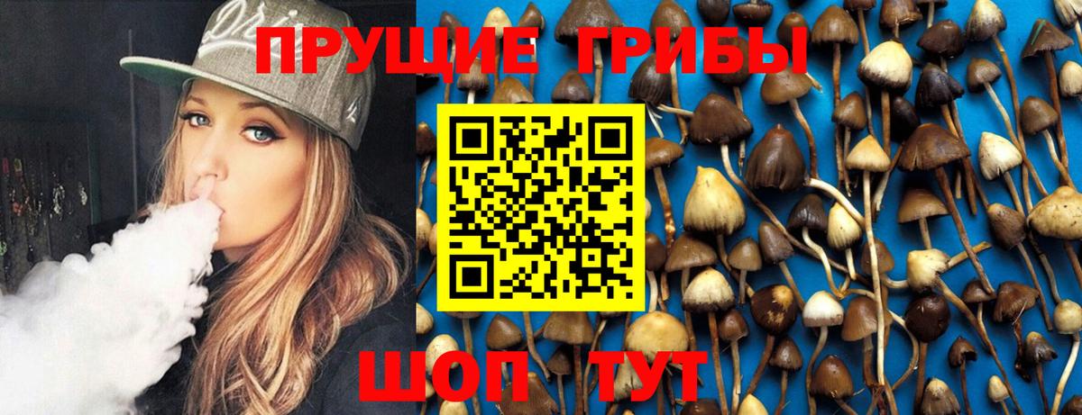 Лангепас  Псилоцибиновые грибы прущие грибы  Вход с VPN 